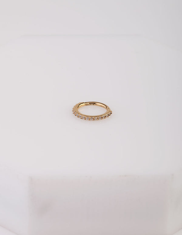 Gold Surgical Steel Hinged Ring Body Jewellery