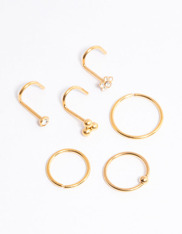 Gold Plated Titanium Ring & Hook Nose 6-Pack