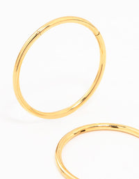 Gold Plated Titanium Sleeper Earrings 16MM - link has visual effect only