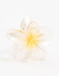 Ombre Plastic Frangipani Claw Clip - link has visual effect only