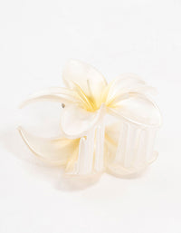 Ombre Plastic Frangipani Claw Clip - link has visual effect only